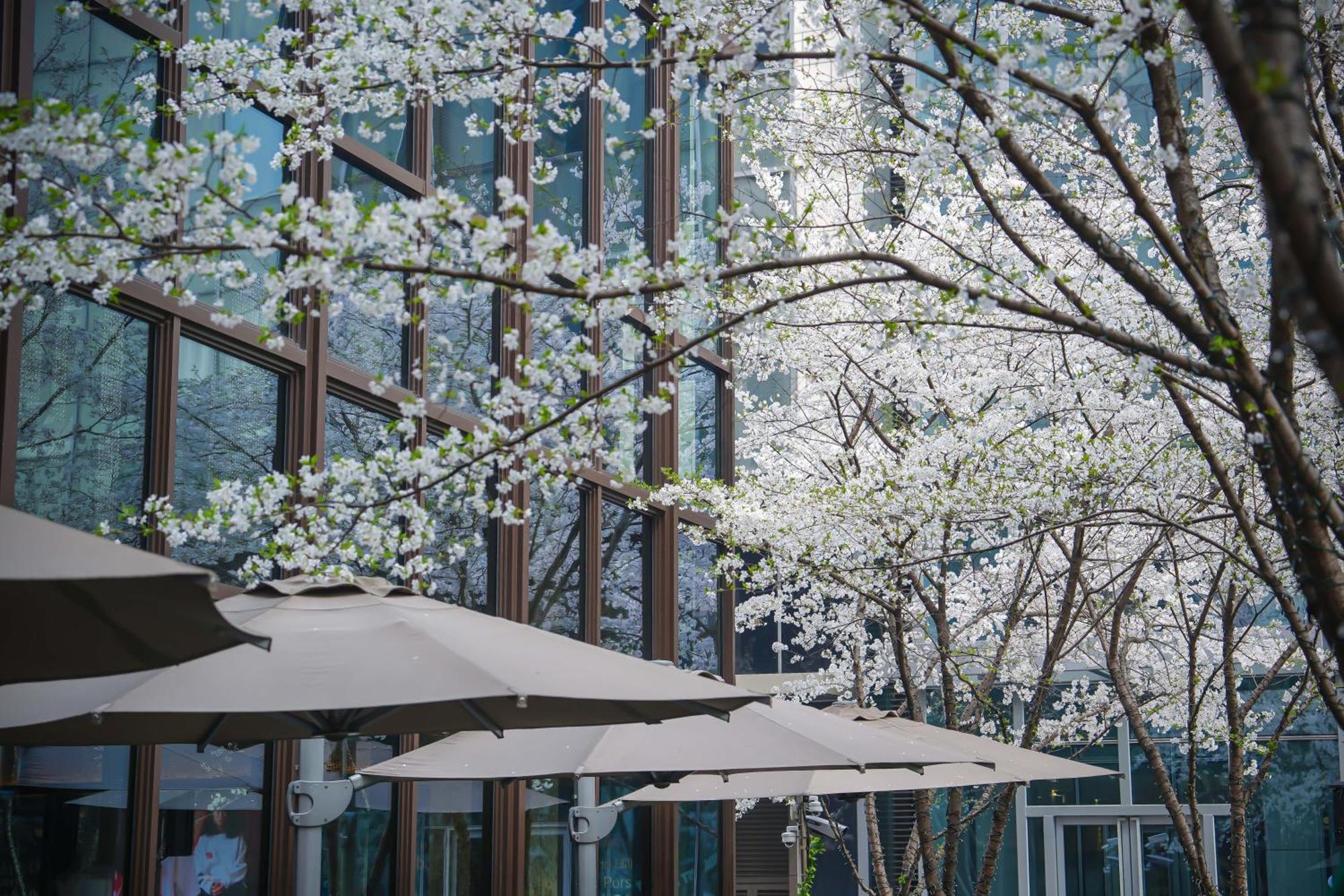 Midtown Shangri-La, Hangzhou - Around 5 Minutes Walking Distance To West Lake Extérieur photo